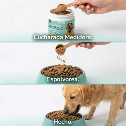 DENTAL PLUS®