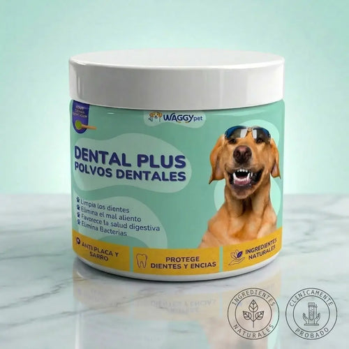DENTAL PLUS®