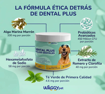 DENTAL PLUS®