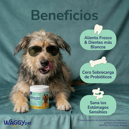 DENTAL PLUS®