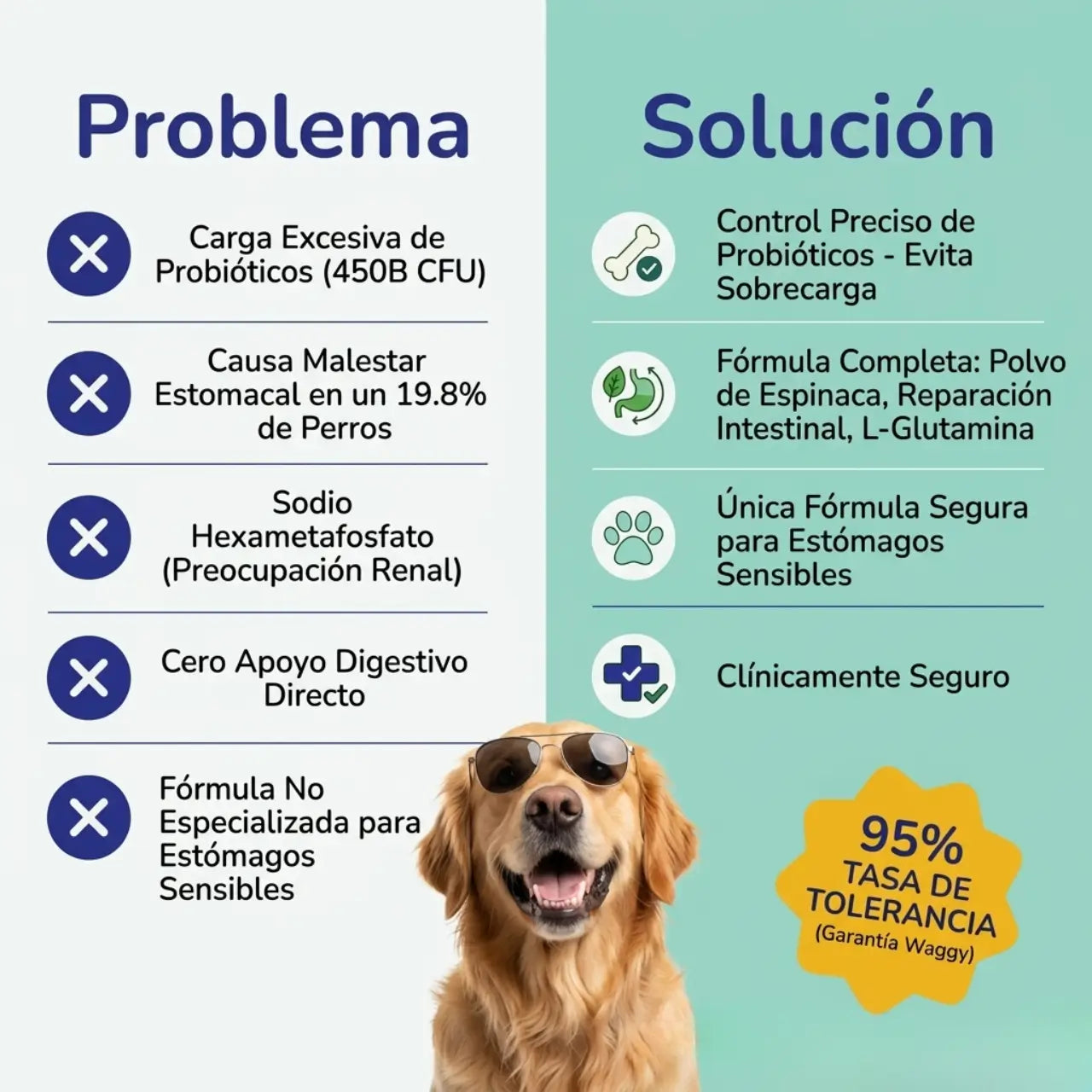 DENTAL PLUS®