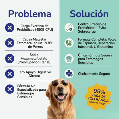 DENTAL PLUS®